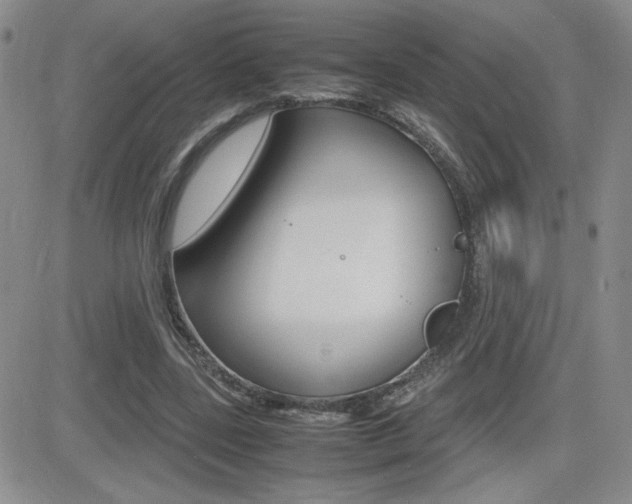 X0000082740539200701261033