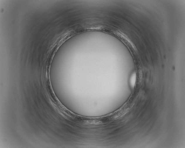 X0000082740541200701261033