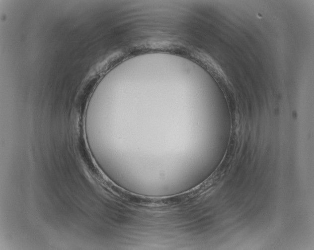 X0000082740542200701261033
