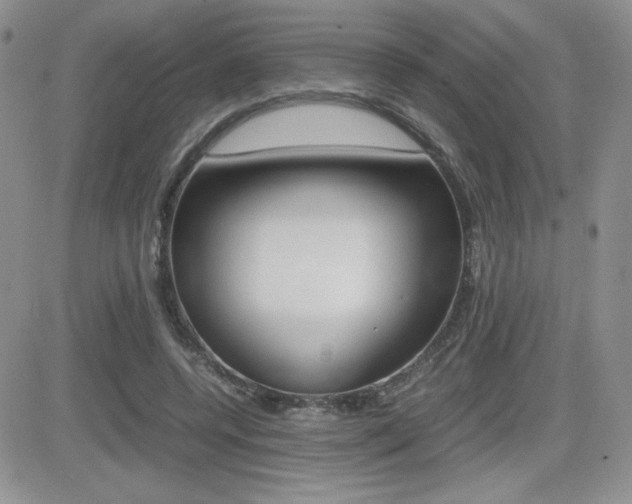 X0000082740544200701261033