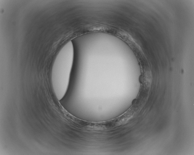 X0000082740545200701261033