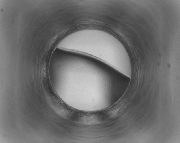 X0000082740547200701261033