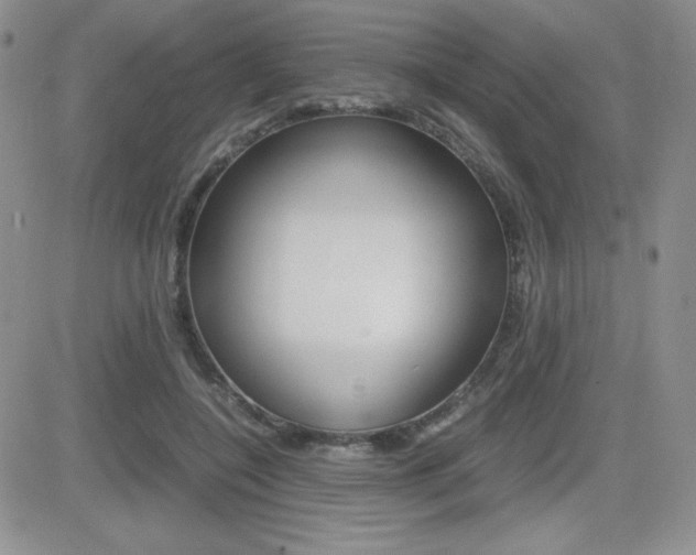 X0000082740548200701261033
