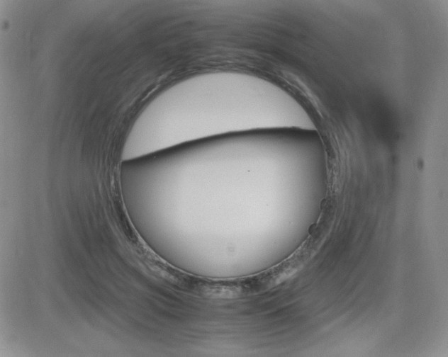 X0000082740549200701261033