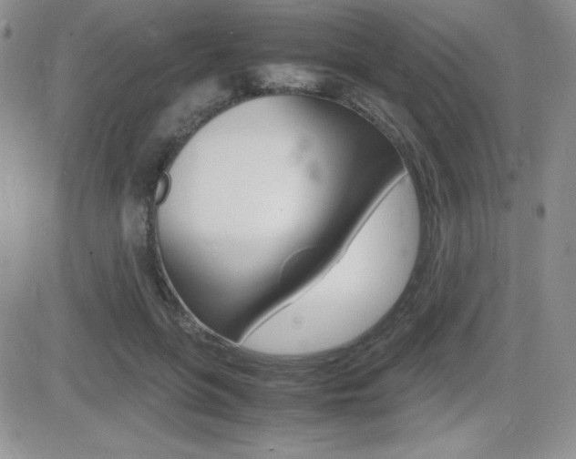 X0000082740551200701261033