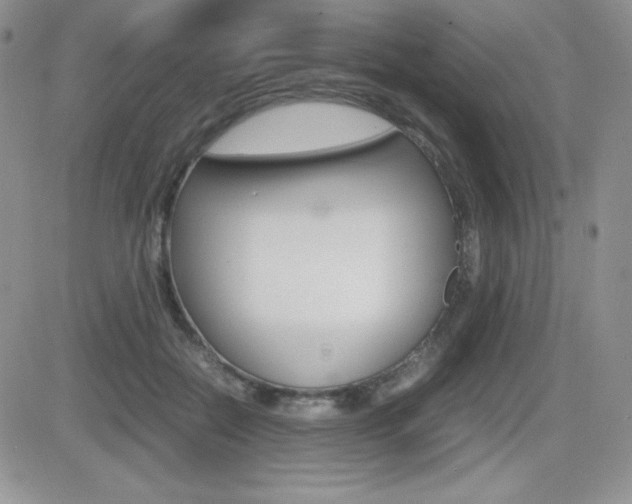 X0000082740554200701261033