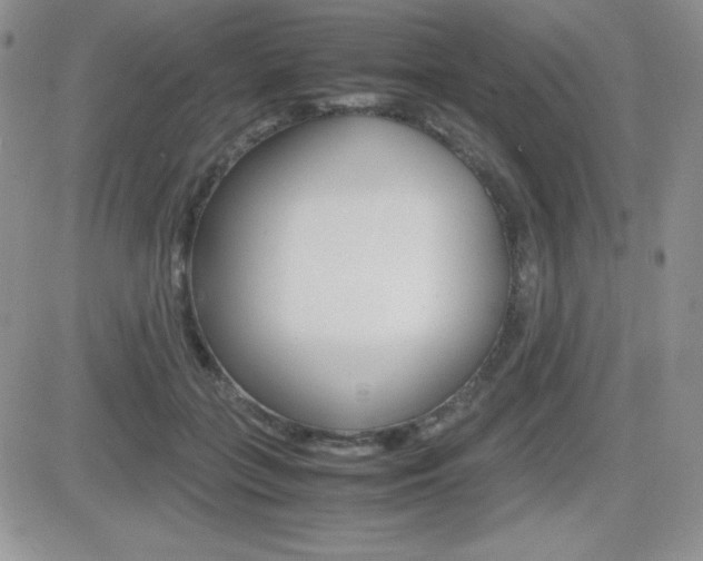 X0000082740555200701261033