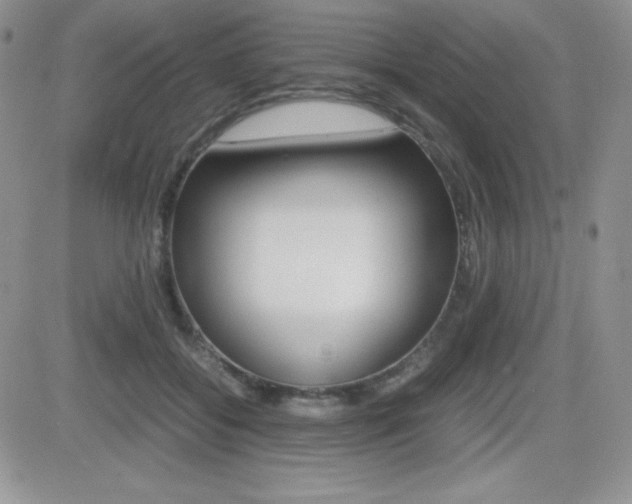 X0000082740556200701261033