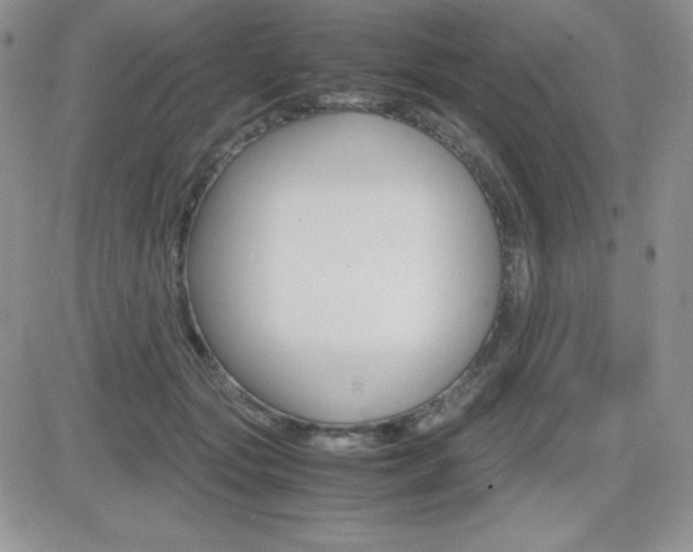 X0000082740557200701261033