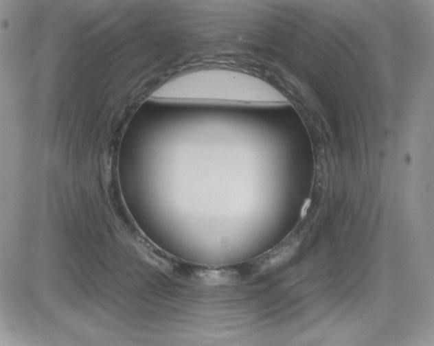 X0000082740558200701261033