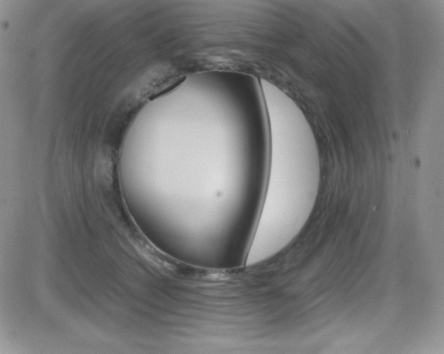 X0000082740562200701261033