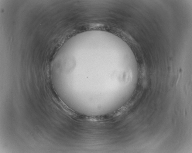 X0000082740565200701261033