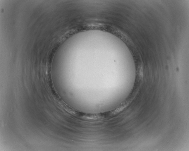 X0000082740567200701261033