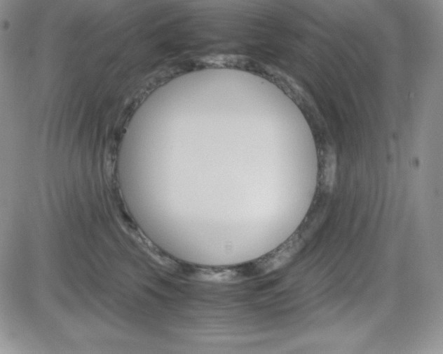 X0000082740569200701261033