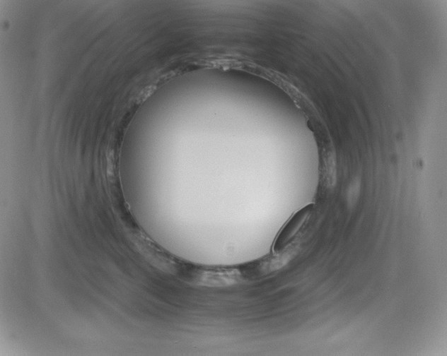 X0000082740571200701261033