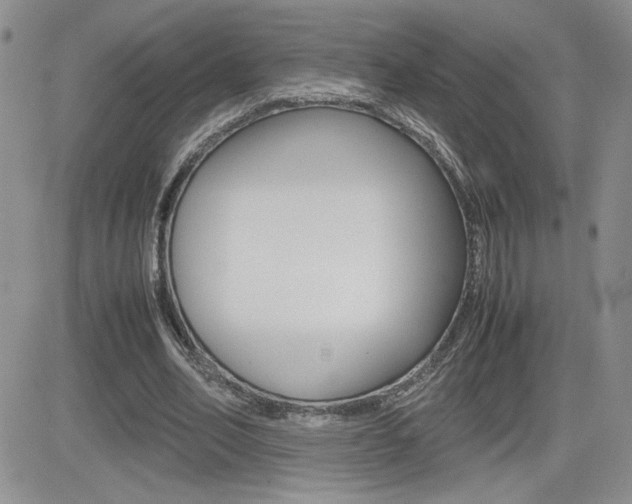 X0000082740582200701261033