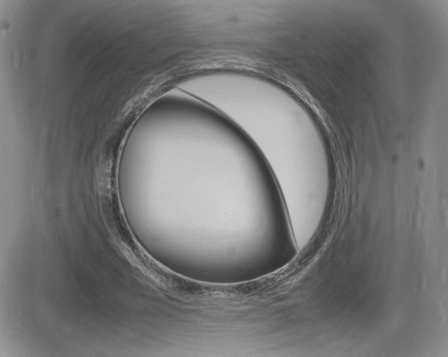 X0000082740585200701261033