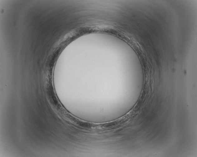 X0000082740591200701261033
