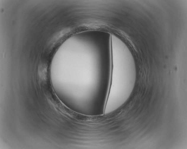 X0000082740596200701261032