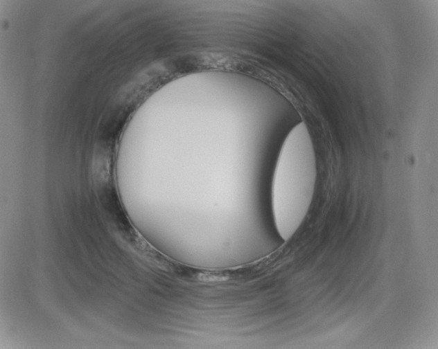 X0000082740602200701261032