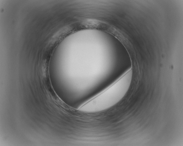 X0000082740604200701261032