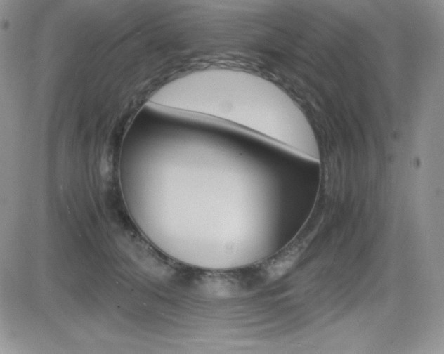 X0000082740608200701261032