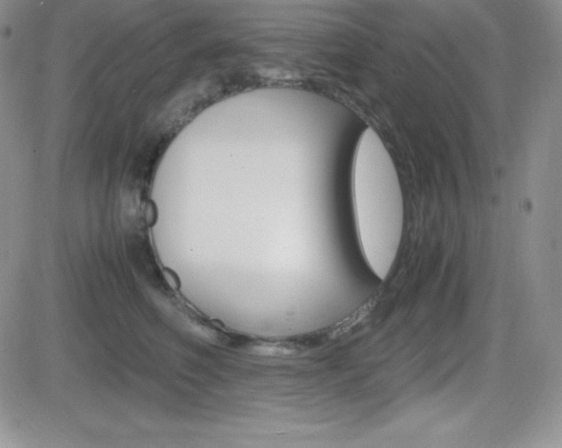 X0000082740614200701261032