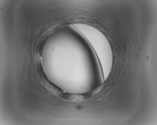 X0000082740617200701261032