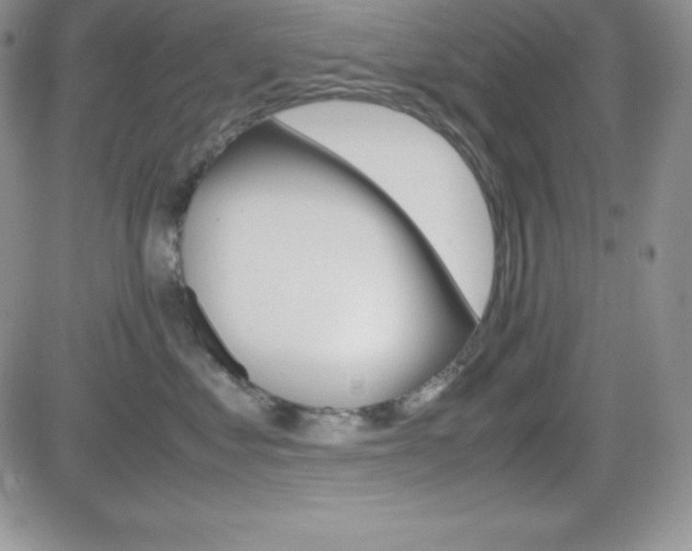 X0000082740621200701261032