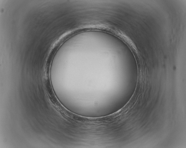 X0000082740628200701261031
