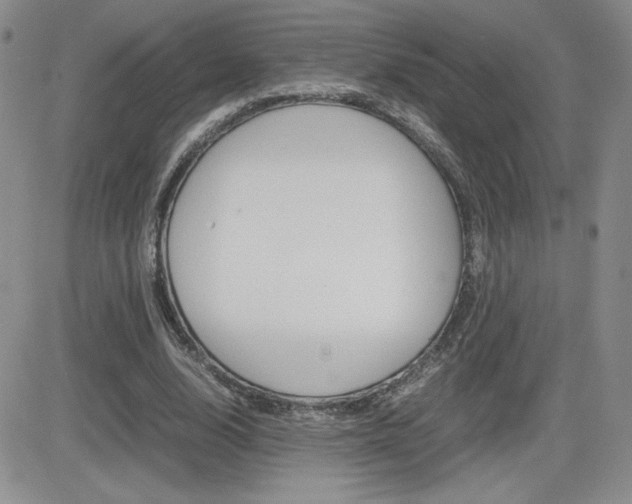 X0000082740632200701261031