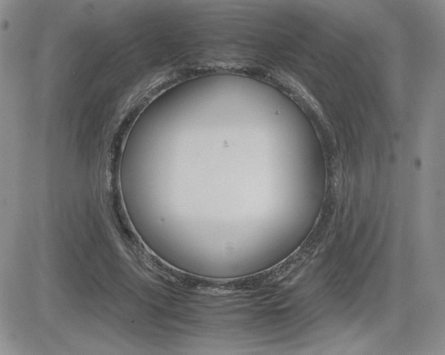 X0000082740635200701261031
