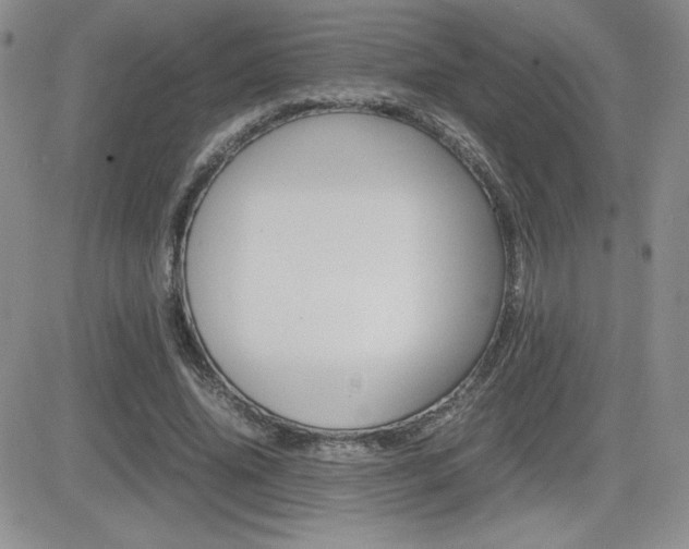 X0000082740636200701261031