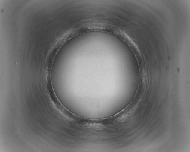 X0000082740637200701261031
