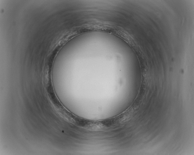 X0000082740642200701261031