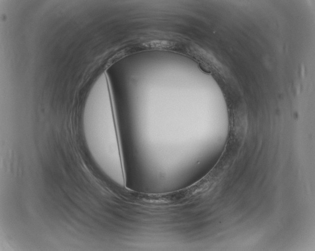 X0000082740645200701261032