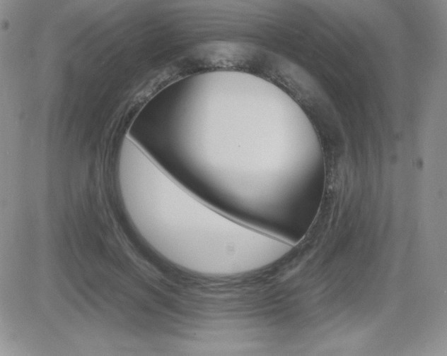 X0000082740646200701261032