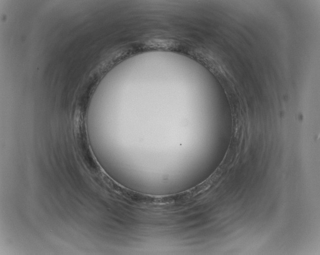 X0000082740647200701261032