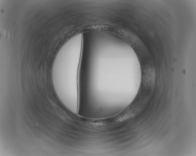 X0000082740653200701261032