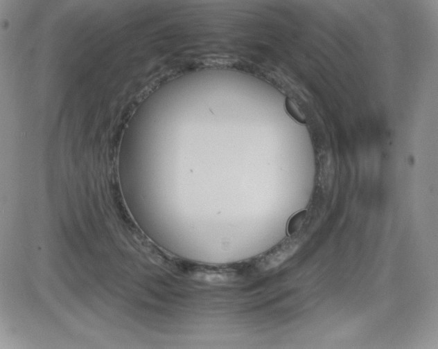 X0000082740655200701261032