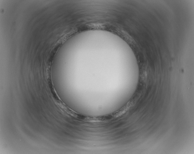 X0000082740658200701261032