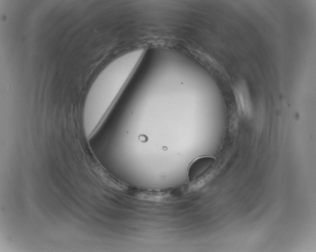 X0000082740661200701261032