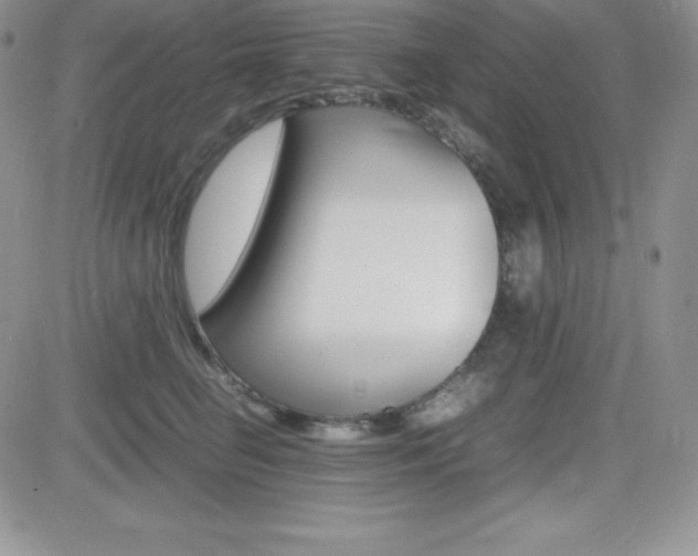 X0000082740662200701261032