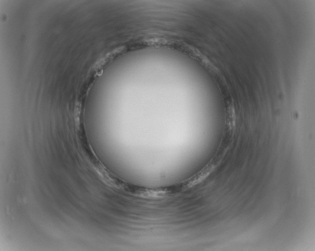 X0000082740664200701261032