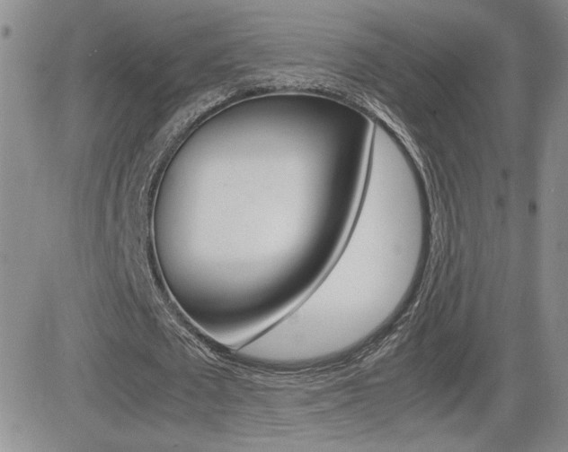 X0000082740673200701261031