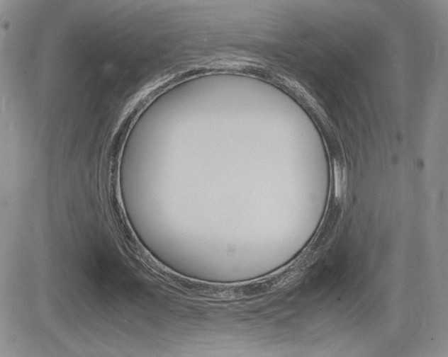 X0000082740675200701261031