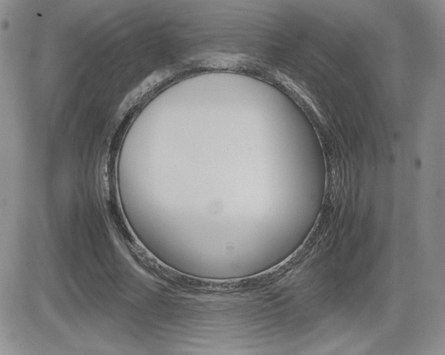 X0000082740682200701261031