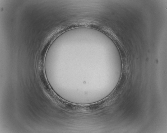 X0000082740683200701261031