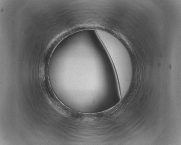 X0000082740684200701261031