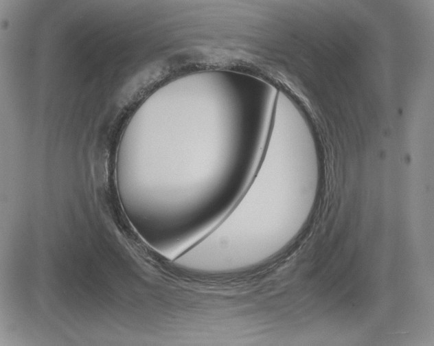 X0000082740685200701261031